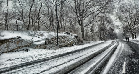 central-park-142894_1280
