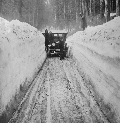 雪道に強い車 外車はアウディ 北海道で雪道に強い車の定番は 知恵の夜明け